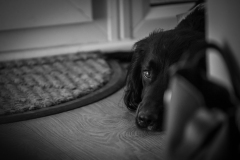 Image-Uploads-5-11-22-19-of-35