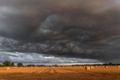 Landscape-129