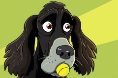 Spaniel-with-a-ball-cartoon